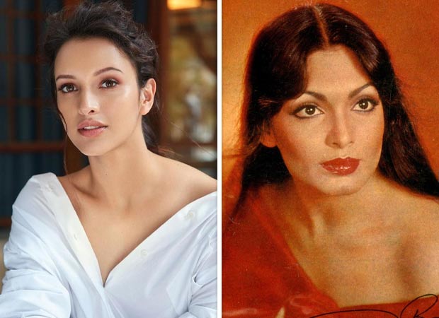 Triptii Dimri in discussion to play iconic Parveen Babi in upcoming biopic: Report : Bollywood News – Bollywood Hungama