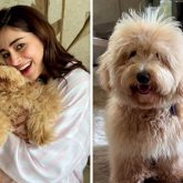 Ananya Panday's morning adventures includes snuggles with her pup Riot, see photo
