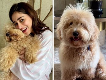 Ananya Panday’s morning adventures includes snuggles with her pup Riot, see photo Ananya Panday’s morning adventures includes snuggles with her pup Riot, see photo