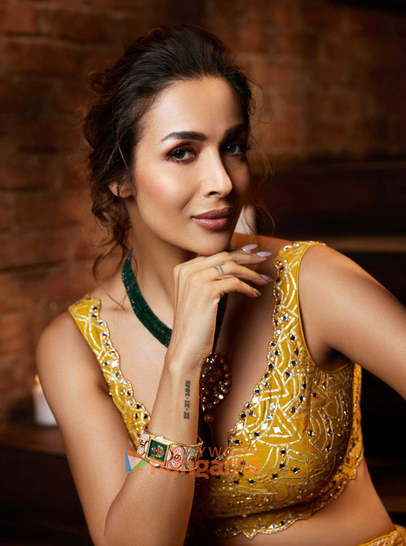 malaika arora 1 293