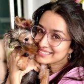 Amid Stree 2’s success run, Shraddha Kapoor welcomes new pet Small, shares adorable pics of new family member