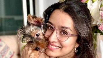 Amid Stree 2’s success run, Shraddha Kapoor welcomes new pet Small, shares adorable pics of new family member