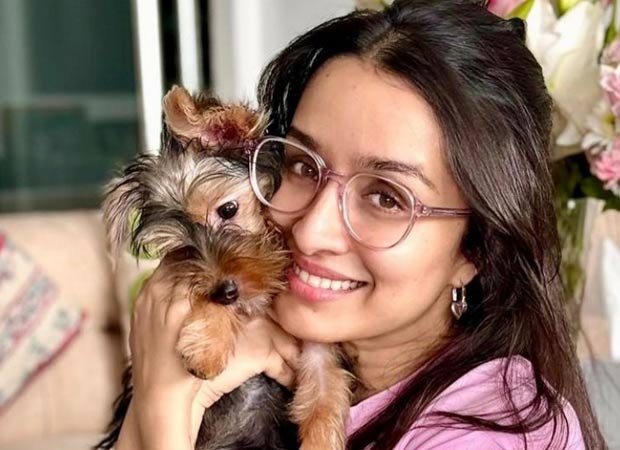 Amid Stree 2’s success run, Shraddha Kapoor welcomes new pet Small, shares adorable pics of new family member