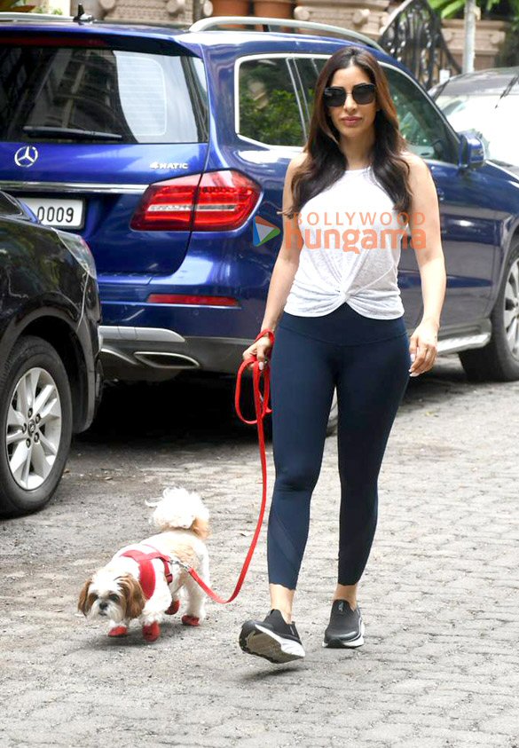Photos: Sophie Choudry snapped outside her residence in Khar Photos: Sophie Choudry snapped outside her residence in Khar