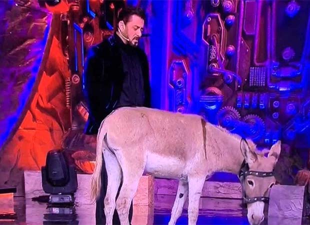 Bigg Boss 18: PETA requests Salman Khan’s intervention over donkey in the controversial house : Bollywood News