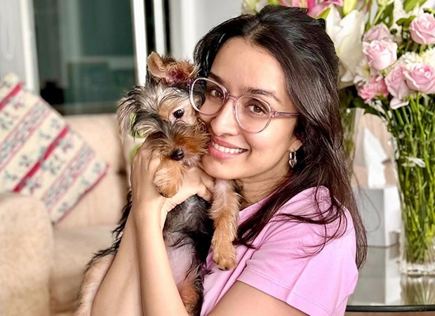 Shraddha Kapoor admits being “extremely obsessive and possessive” about her pet Small; says, “She’s a proper little baby, and I try to…”