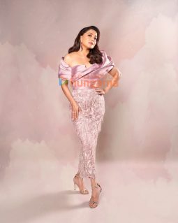 Madhuri Dixit