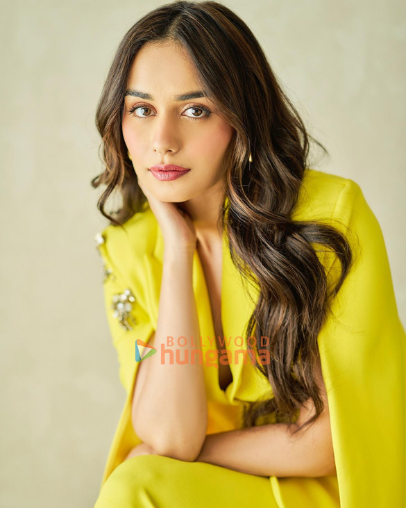 manushi chhillar 3 147
