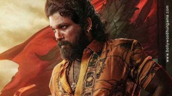 Pushpa 2 - The Rule poster