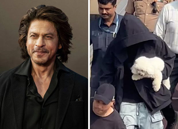 Shah Rukh Khan returns after a family vacation in Alibaug; his pet dog captures attention in viral videos : Bollywood News