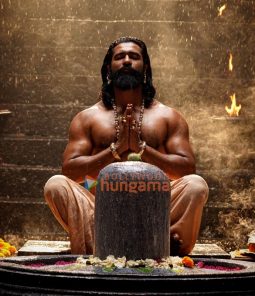 Chhaava stills