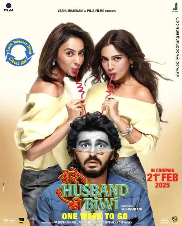 mere husband ki biwi 9