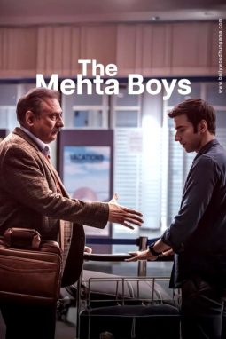 The Mehta Boys poster