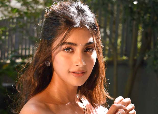 Pooja Hegde breaks silence on paid trolls; says, “I found out that people were spending lakhs just to troll me”