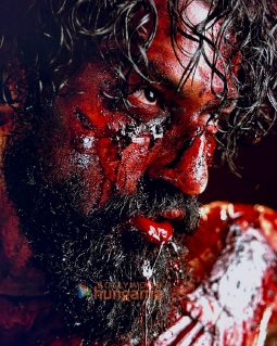 Movie Stills Of The Movie Chhaava