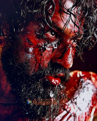Movie Stills Of The Movie Chhaava
