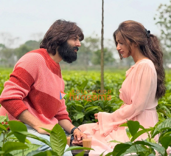 kartik aaryan and sreeleelas next 1 2