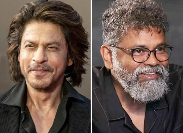 Shah Rukh Khan se unirá al director de Pushpa Sukumar para el drama de acción política rural: Informe 