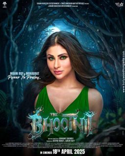 The Bhootnii poster