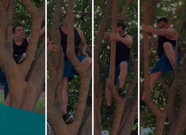 Salman Khan climbs tree like a pro at the age of 59; shares "Berry good" video