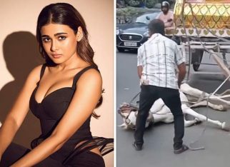 Shalini Pandey REACTS to viral video of dehydrated horse in Kolkata: “My heart is broken into a million pieces”