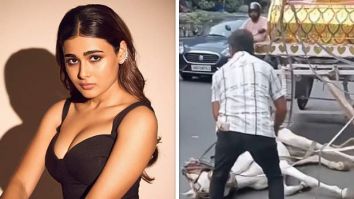 Shalini Pandey REACTS to viral video of dehydrated horse in Kolkata: “My heart is broken into a million pieces”
