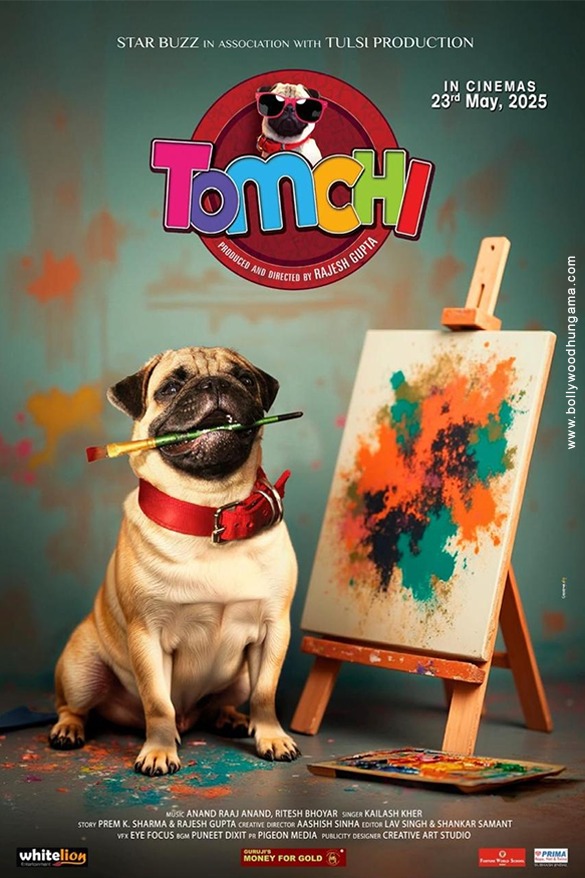 tomchi 2 2