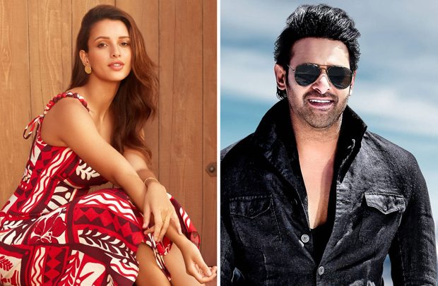 Triptii Dimri joins Prabhas in Bhushan Kumar and Sandeep Reddy Vanga’s next film SPIRIT