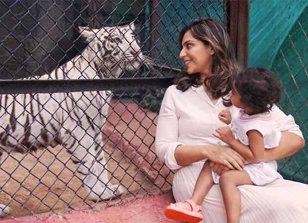 Ram Charan and Upasana Kamineni Konidela's daughter Klin Kaara meets her namesake Tigress on second birthday in Hyderabad Zoo