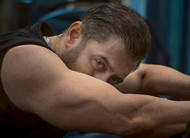 Salman Khan shows off chiselled physique in new gym photos; watch : Bollywood News – Bollywood Hungama