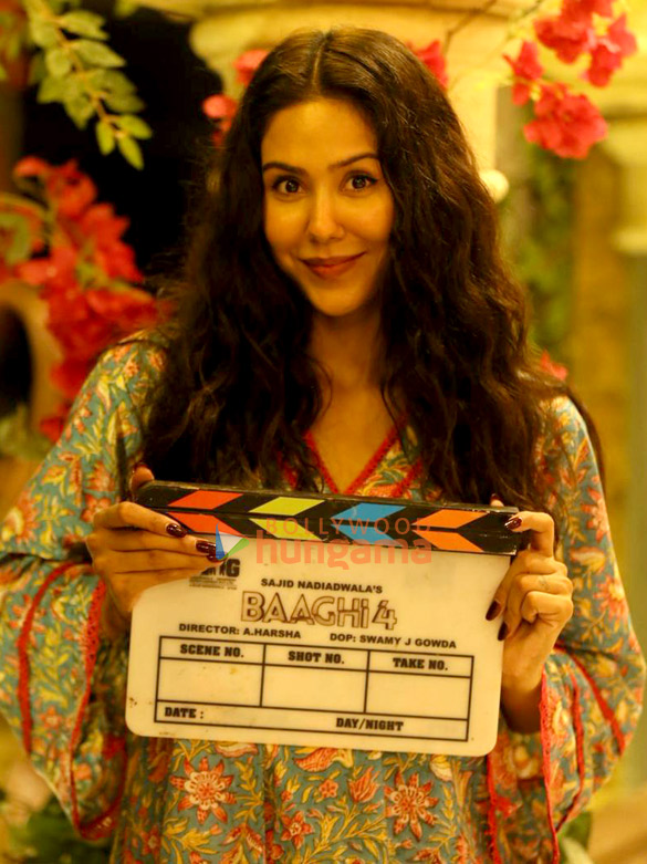 baaghi 4 4 3