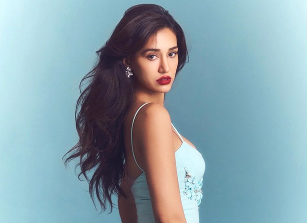 Disha Patani speaks up for rescued elephant Hari, urges followers to point out love and compassion in the direction of animals : Bollywood Information – Bollywood Hungama