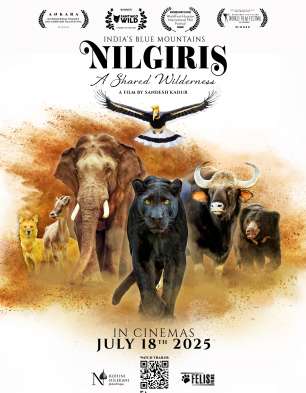 Nilgiris: A Shared Wilderness (English)