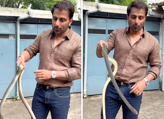 सोनू सूदने मुंबई समाजातील सापाची सुटका केली, जोखीम घेण्यापासून लोकांना इशारा दिला: बॉलिवूड न्यूज