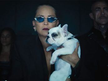 Sharon Stone unleashes a new side in Nobody 2; brings a bold, mystique-filled character to the big screen Sharon Stone unleashes a new side in Nobody 2; brings a bold, mystique-filled character to the big screen