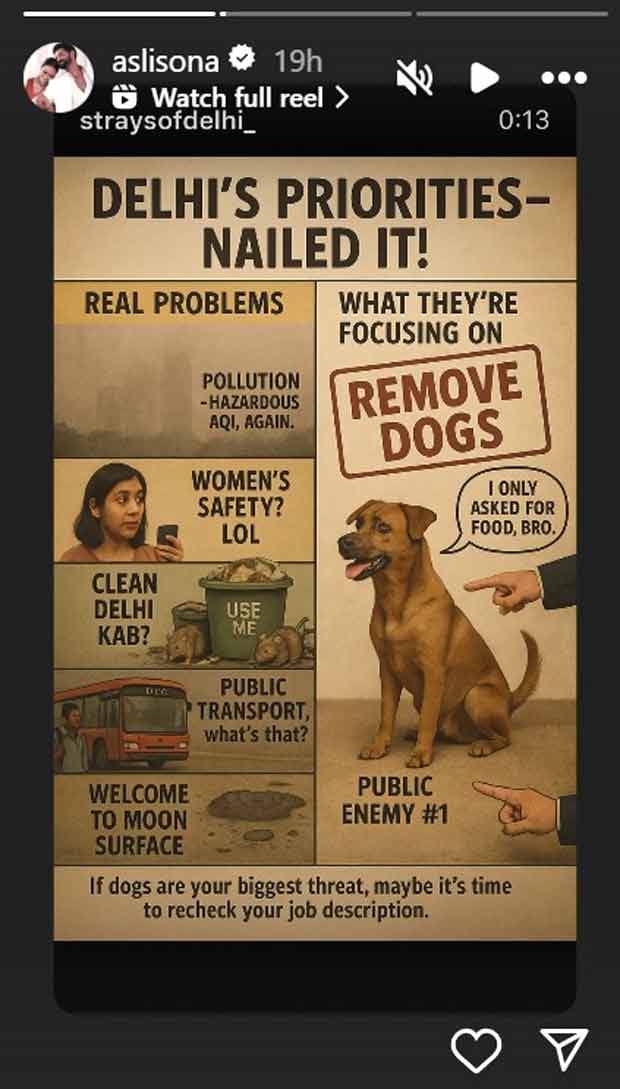 बॉलीवुड स्टार अधिकारियों द्वारा नजरअंदाज किए गए नागरिक मुद्दों को दबाने पर चिंताओं को बढ़ाते हुए, सड़क के कुत्तों के खिलाफ कठोर उपायों की निंदा करते हुए आवाज़ों के कोरस में शामिल हो गए।