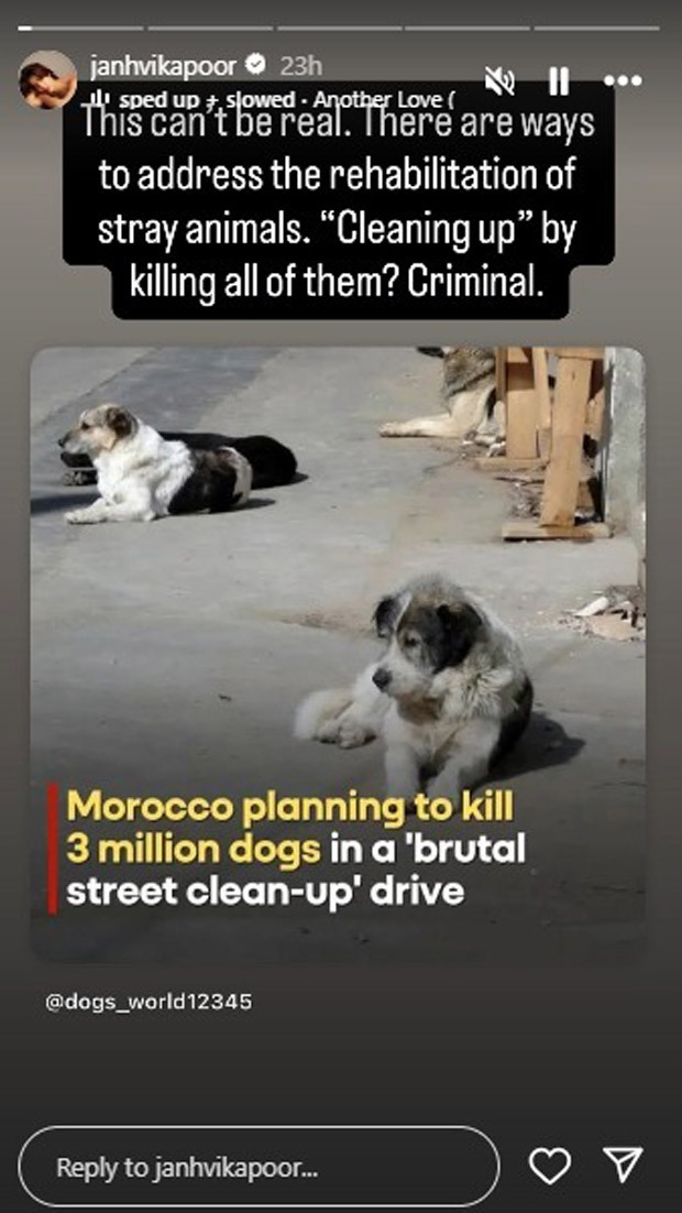 Janhvi Kapoor slams Morocco's plan to kill 3 million stray dogs ahead of 2030 FIFA World Cup