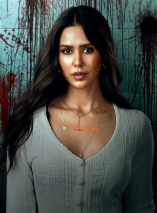 Baaghi 4