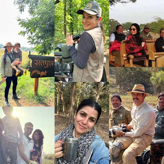 Wildlife week through celebrity eyes: Raveena Tandon, Randeep Hooda, Kareena Kapoor Khan, and more celebs explore India’s wild side