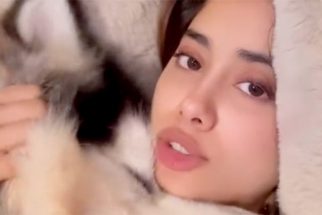 Janhvi Kapoor & her husky blessed our feed today