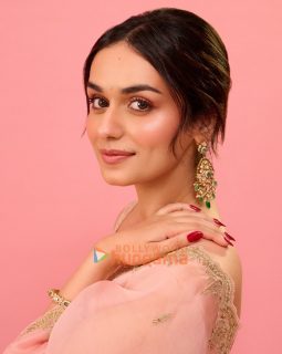 Manushi Chhillar
