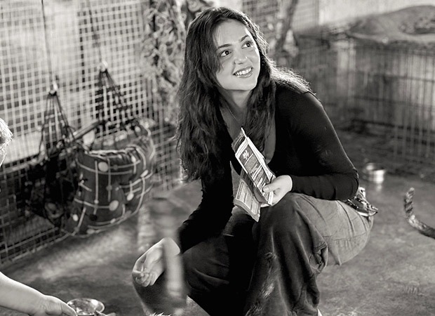 Aneet Padda shares candid moments with rescued strays at Mumbai shelter : Bollywood News – Bollywood Hungama Aneet Padda shares candid moments with rescued strays at Mumbai shelter : Bollywood News – Bollywood Hungama