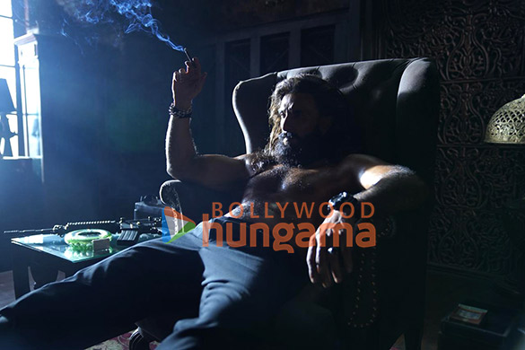 dhurandhar 3155 13