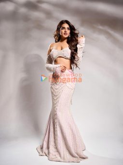 Nidhhi Agerwal