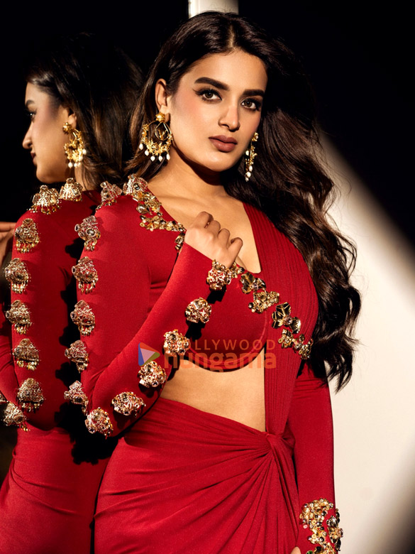 nidhhi agerwal 3 22