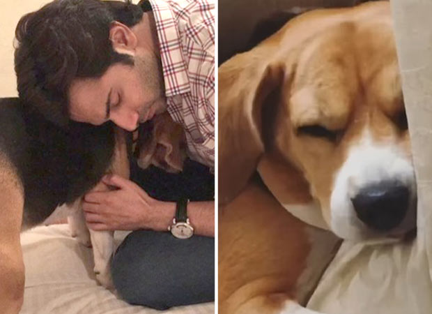 Varun Dhawan mourns loss of pet dog Angel, calls her “another angel in heaven”
