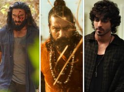 Bollywood Box Office 2025 Report Card: From ALL-TIME BLOCKBUSTERS to DISASTERS – Film by Film Verdict