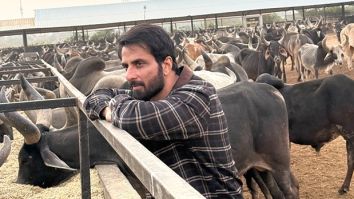 Sonu Sood donates Rs 22 lakhs to cow shelter in Gujarat