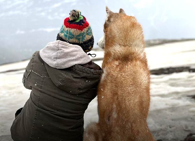John Abraham calls Oslo: A Tail of Promise a reminder that “animals are not here to serve us” at its Pune premiere