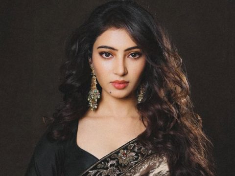 McDonald’s India–North & East Names Sara Arjun as brand ambassador; recreates iconic ad, watch